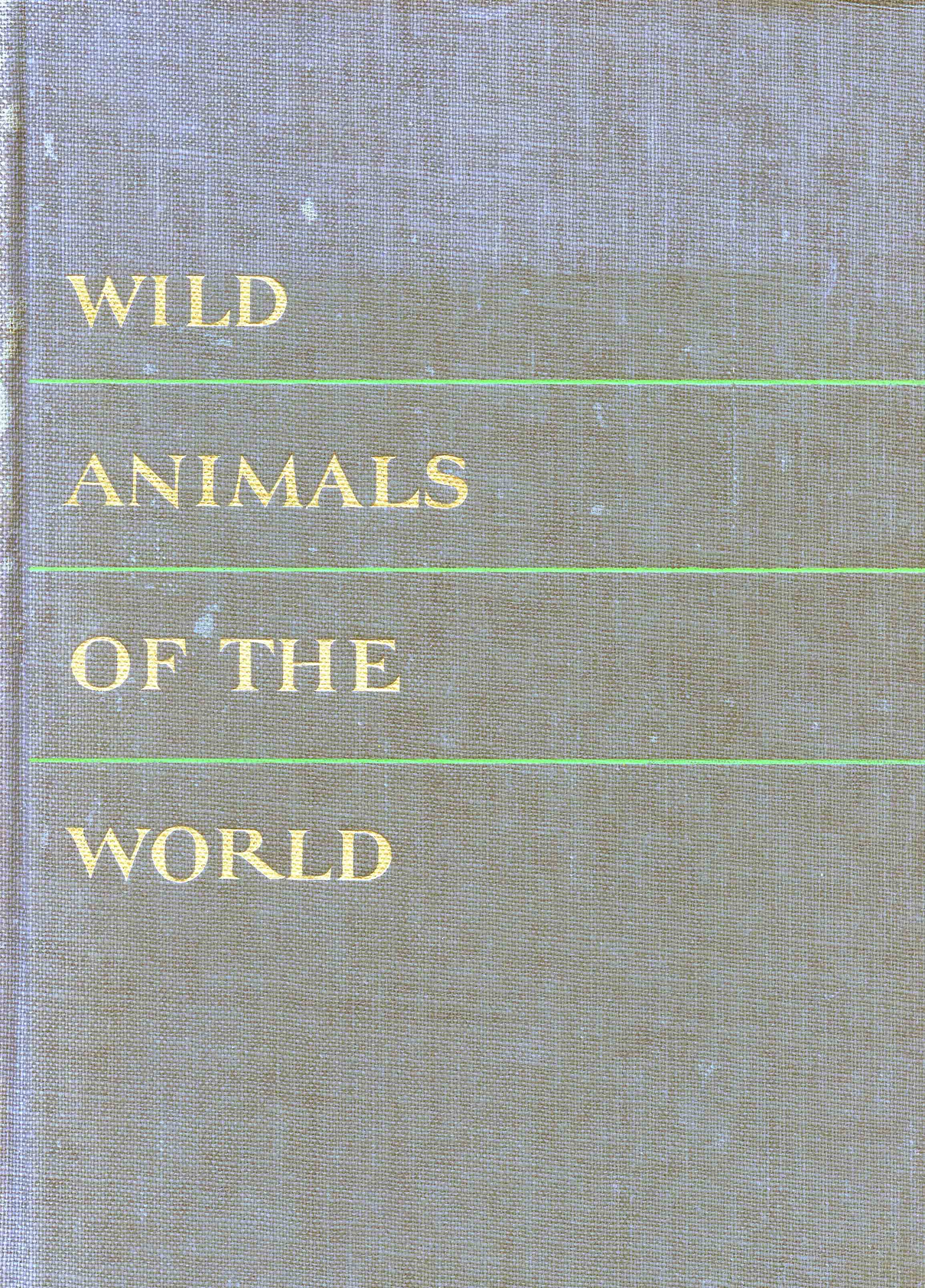Image for Wild Animals of the World,